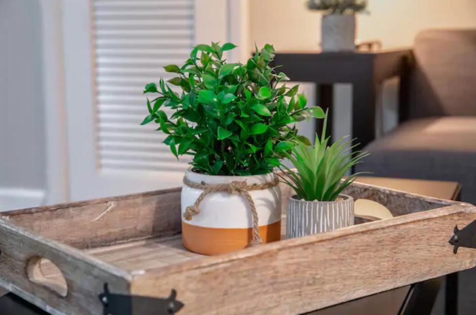 Westshore South Tampa Apt Daire Dış mekan fotoğraf