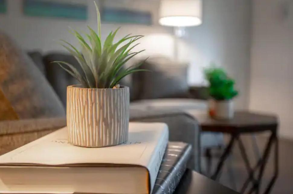 Westshore South Tampa Apt Daire Dış mekan fotoğraf